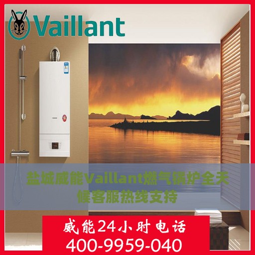 盐城威能Vaillant燃气锅炉全天候客服热线支持