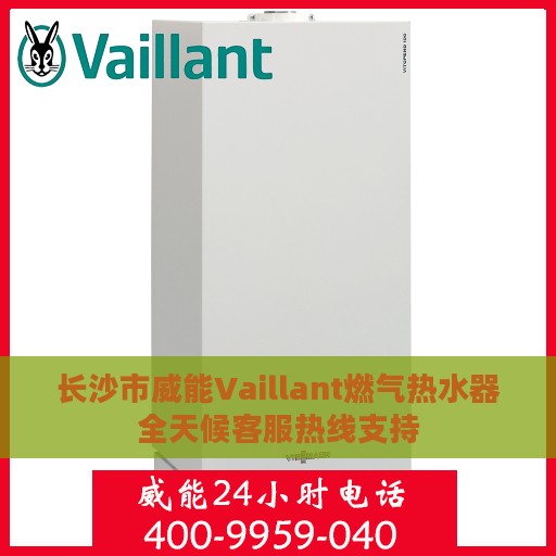 长沙市威能Vaillant燃气热水器全天候客服热线支持
