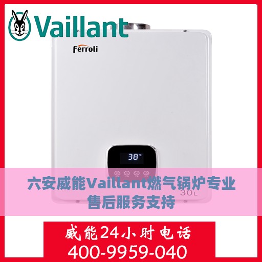 六安威能Vaillant燃气锅炉专业售后服务支持
