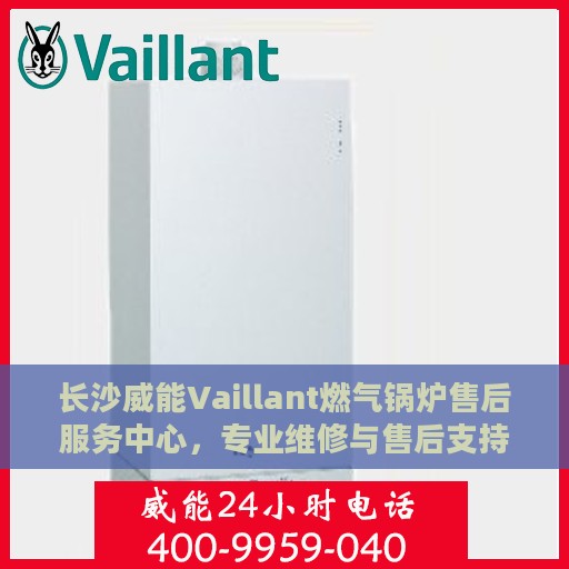 长沙威能Vaillant燃气锅炉售后服务中心，专业维修与售后支持