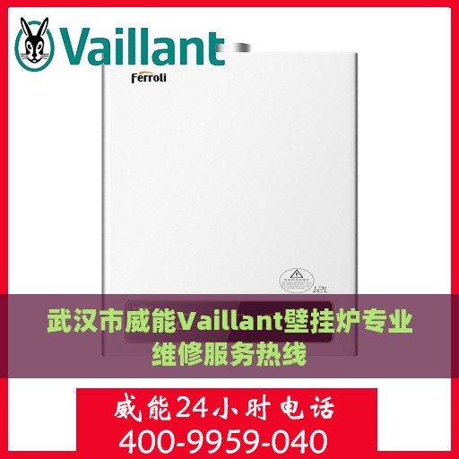 武汉市威能Vaillant壁挂炉专业维修服务热线