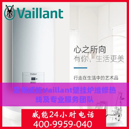 常州威能Vaillant壁挂炉维修热线及专业服务团队