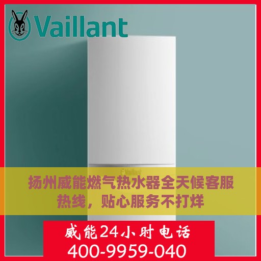 扬州威能燃气热水器全天候客服热线，贴心服务不打烊