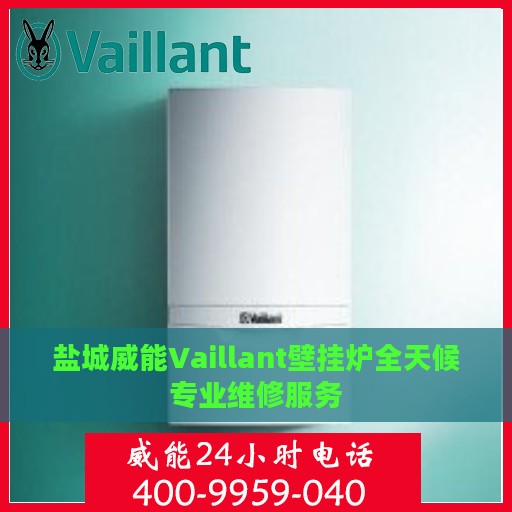 盐城威能Vaillant壁挂炉全天候专业维修服务