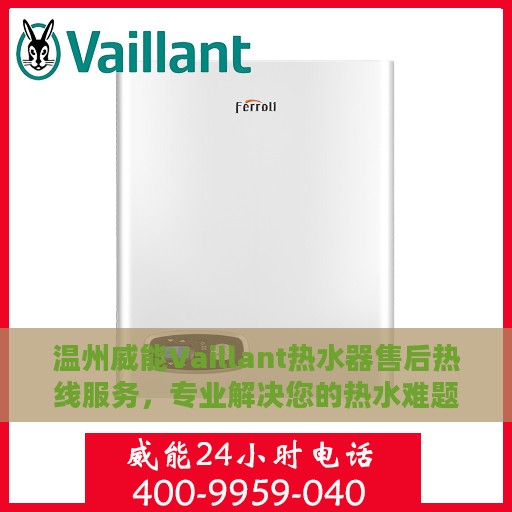 温州威能Vaillant热水器售后热线服务，专业解决您的热水难题！