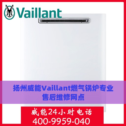 扬州威能Vaillant燃气锅炉专业售后维修网点