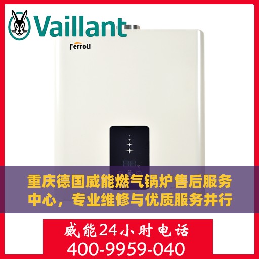 重庆德国威能燃气锅炉售后服务中心，专业维修与优质服务并行
