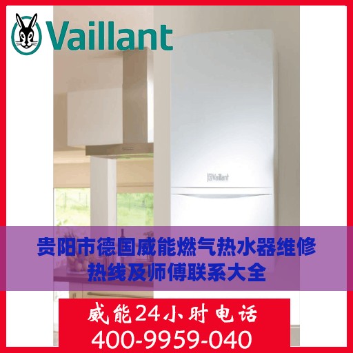 贵阳市德国威能燃气热水器维修热线及师傅联系大全