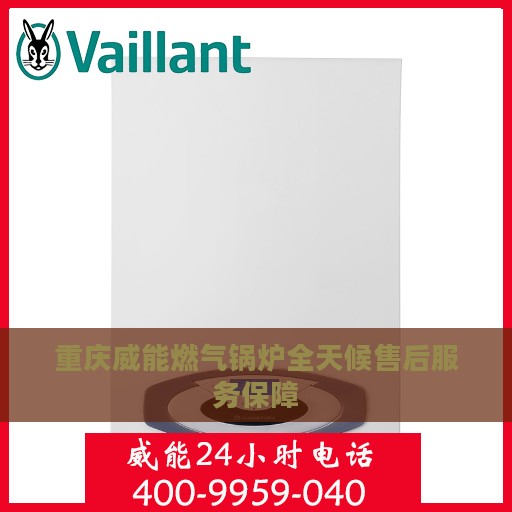 重庆威能燃气锅炉全天候售后服务保障