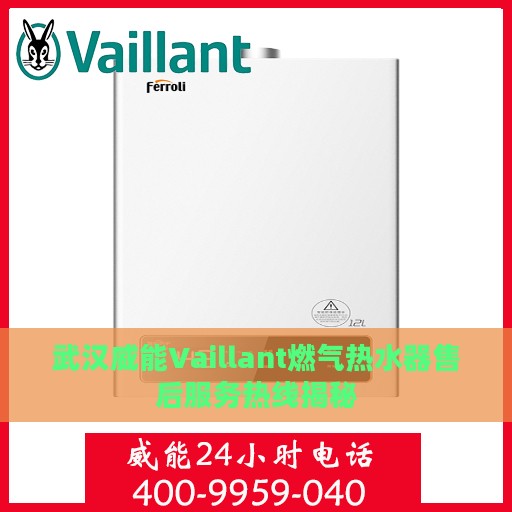 武汉威能Vaillant燃气热水器售后服务热线揭秘