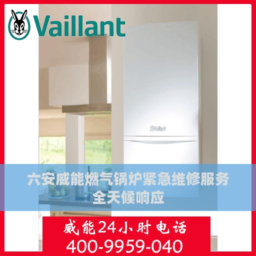 六安威能燃气锅炉紧急维修服务全天候响应