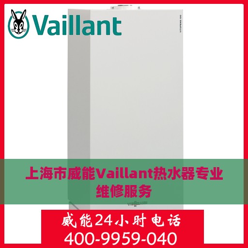 上海市威能Vaillant热水器专业维修服务