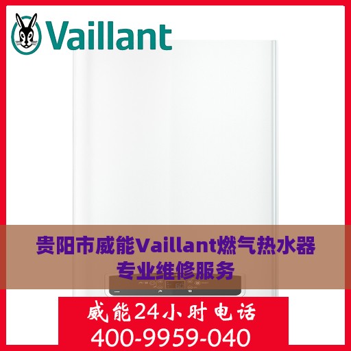 贵阳市威能Vaillant燃气热水器专业维修服务