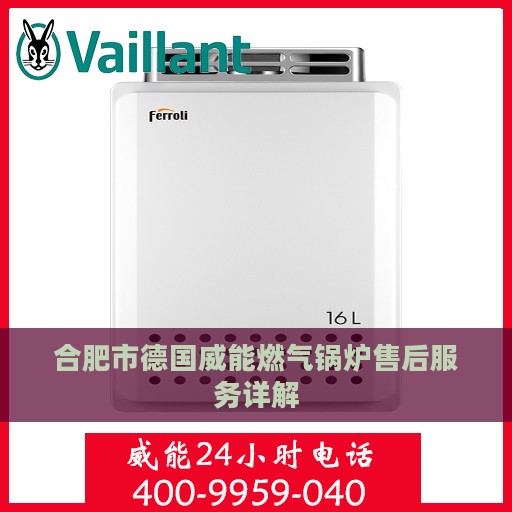 合肥市德国威能燃气锅炉售后服务详解