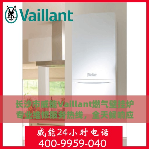 长沙市威能Vaillant燃气壁挂炉专业维修服务热线，全天候响应您的需求