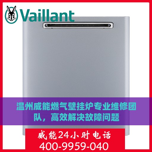温州威能燃气壁挂炉专业维修团队，高效解决故障问题