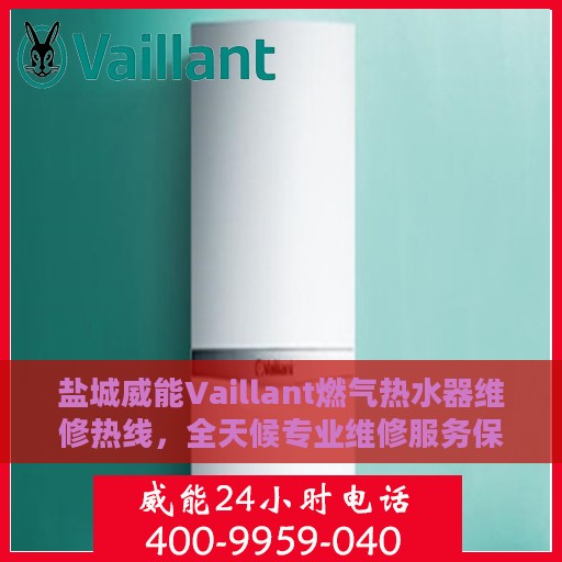 盐城威能Vaillant燃气热水器维修热线，全天候专业维修服务保障