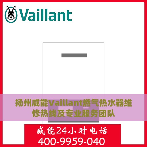扬州威能Vaillant燃气热水器维修热线及专业服务团队