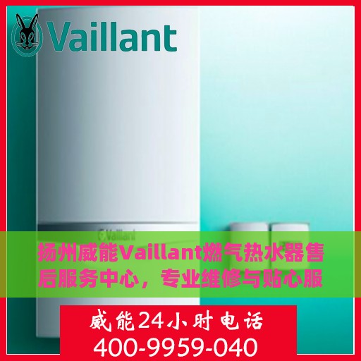 扬州威能Vaillant燃气热水器售后服务中心，专业维修与贴心服务