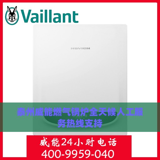 泰州威能燃气锅炉全天候人工服务热线支持