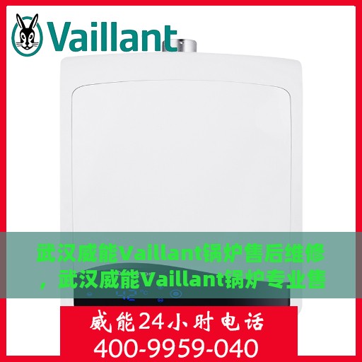 武汉威能Vaillant锅炉售后维修，武汉威能Vaillant锅炉专业售后维修服务