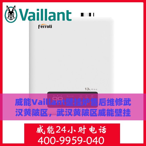 威能Vaillant壁挂炉售后维修武汉黄陂区，武汉黄陂区威能壁挂炉专业售后维修服务团队