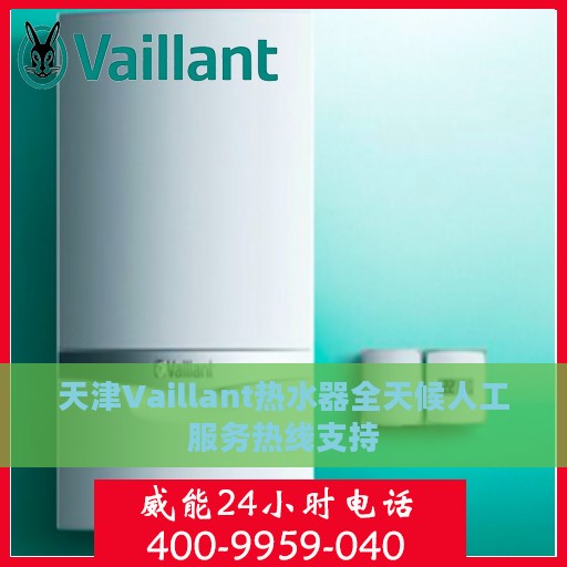 天津Vaillant热水器全天候人工服务热线支持