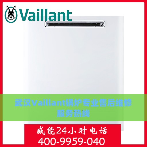 武汉Vaillant锅炉专业售后维修服务热线