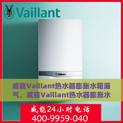 威能Vaillant热水器膨胀水箱漏气，威能Vaillant热水器膨胀水箱漏气，原因解析与解决方案