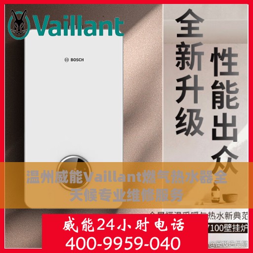 温州威能Vaillant燃气热水器全天候专业维修服务