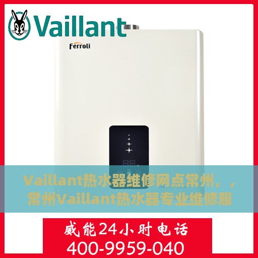 Vaillant热水器维修网点常州，，常州Vaillant热水器专业维修服务中心
