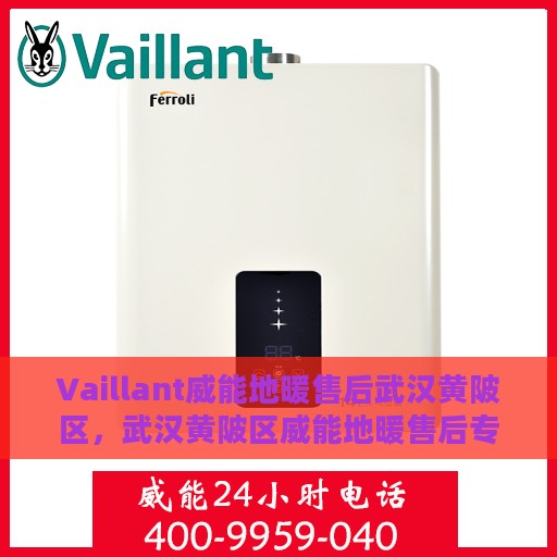 Vaillant威能地暖售后武汉黄陂区，武汉黄陂区威能地暖售后专业服务解析
