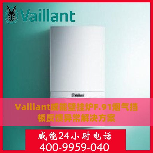 Vaillant威能壁挂炉F.91烟气挡板反馈异常解决方案