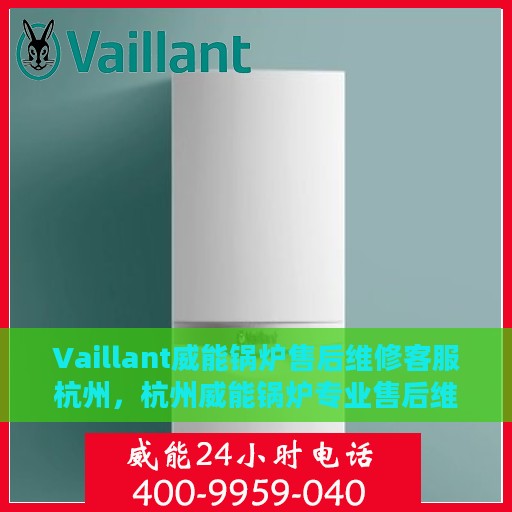 Vaillant威能锅炉售后维修客服杭州，杭州威能锅炉专业售后维修客服团队