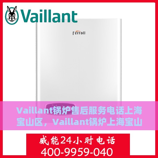 Vaillant锅炉售后服务电话上海宝山区，Vaillant锅炉上海宝山区售后服务热线及专业维修团队