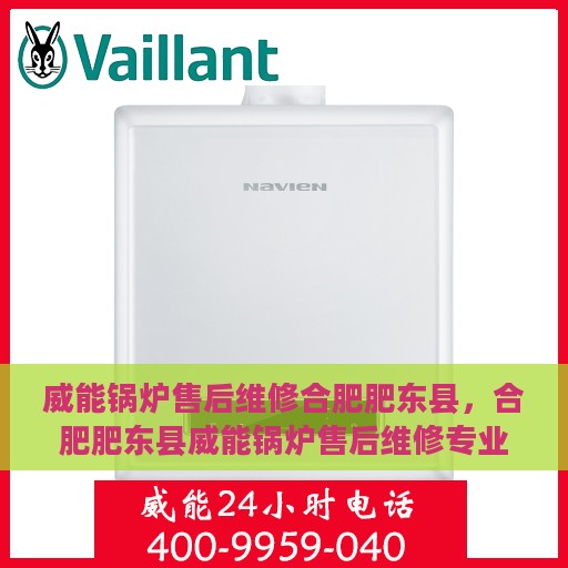 威能锅炉售后维修合肥肥东县，合肥肥东县威能锅炉售后维修专业服务