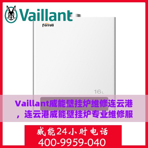 Vaillant威能壁挂炉维修连云港，连云港威能壁挂炉专业维修服务