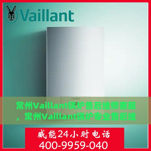 常州Vaillant锅炉售后维修客服，常州Vaillant锅炉专业售后维修客服团队，专注服务，温暖您的生活