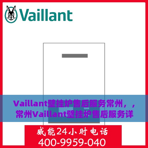 Vaillant壁挂炉售后服务常州，，常州Vaillant壁挂炉售后服务详解，专业团队，贴心服务
