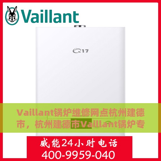 Vaillant锅炉维修网点杭州建德市,杭州建德市Vaillant锅炉专业维修服务中心 Vaillant锅炉维修网点杭州建德市,杭州建德市Vaillant锅炉专业维修服务中心