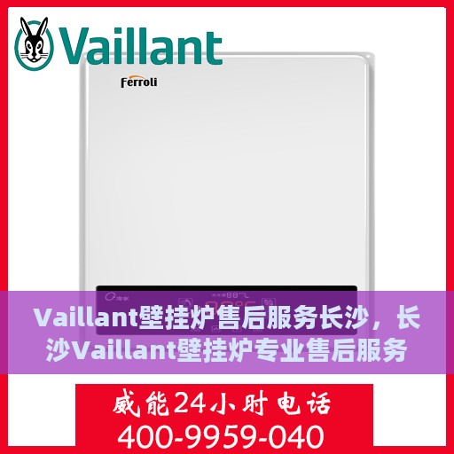 Vaillant壁挂炉售后服务长沙，长沙Vaillant壁挂炉专业售后服务支持