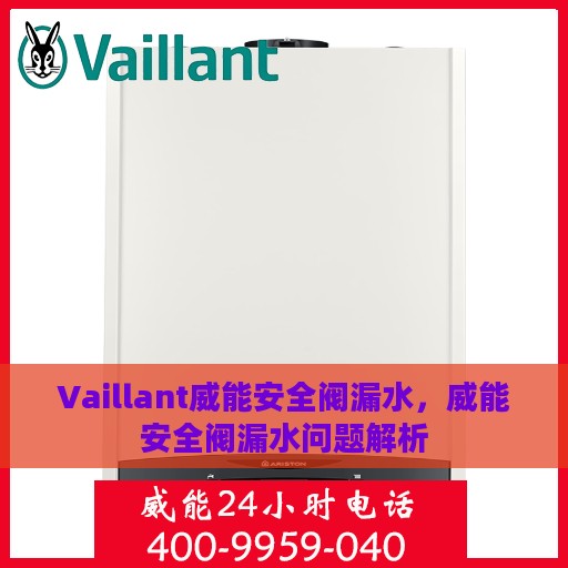 Vaillant威能安全阀漏水，威能安全阀漏水问题解析