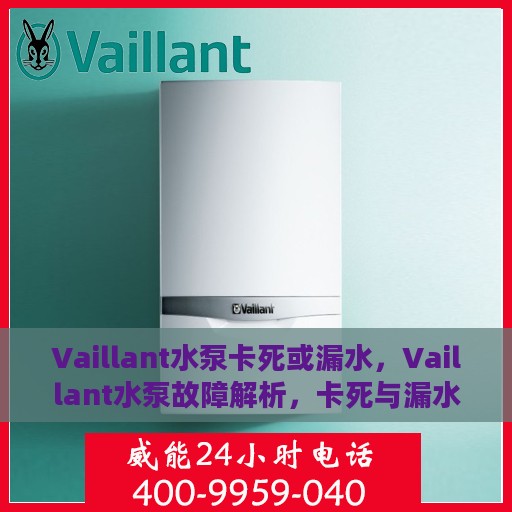 Vaillant水泵卡死或漏水，Vaillant水泵故障解析，卡死与漏水问题探究