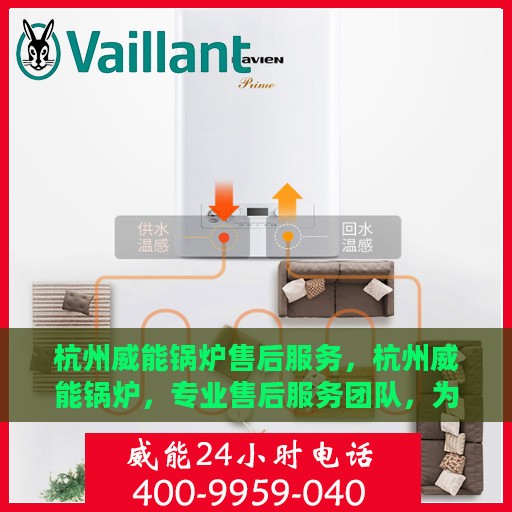 杭州威能锅炉售后服务，杭州威能锅炉，专业售后服务团队，为您的锅炉保驾护航
