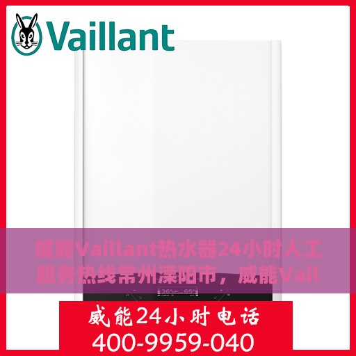 威能Vaillant热水器24小时人工服务热线常州溧阳市，威能Vaillant热水器常州溧阳服务热线，全天候人工售后支持，温暖您的生活