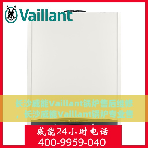 长沙威能Vaillant锅炉售后维修，长沙威能Vaillant锅炉专业售后维修服务