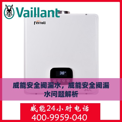 威能安全阀漏水，威能安全阀漏水问题解析