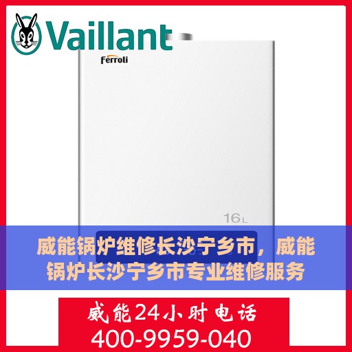 威能锅炉维修长沙宁乡市，威能锅炉长沙宁乡市专业维修服务