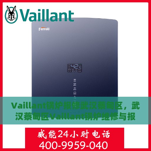 Vaillant锅炉报修武汉蔡甸区，武汉蔡甸区Vaillant锅炉维修与报修服务