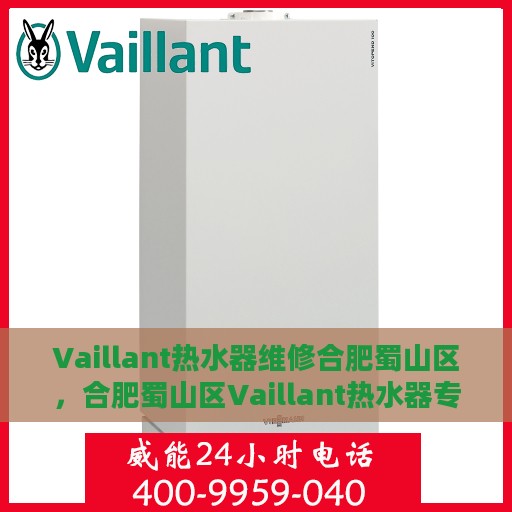 Vaillant热水器维修合肥蜀山区，合肥蜀山区Vaillant热水器专业维修服务